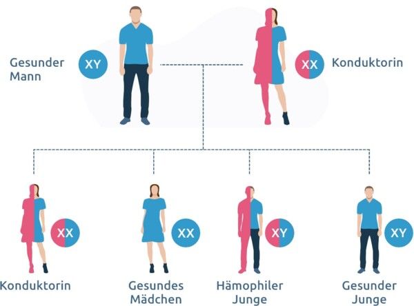 Was Ist Hämophilie? Alle Infos Finden Sie Hier | Team Hämophilie